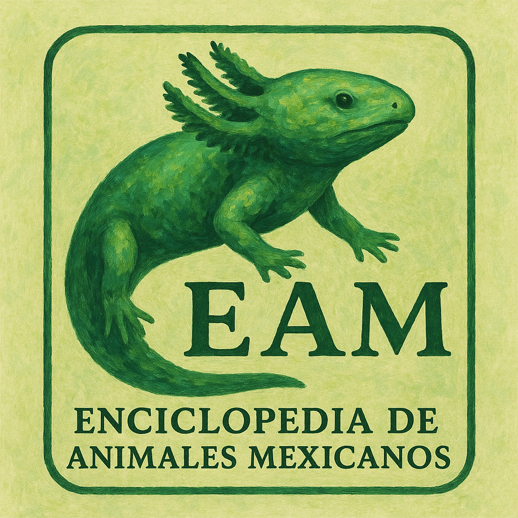 Enciclopedia de Animales Mexicanos